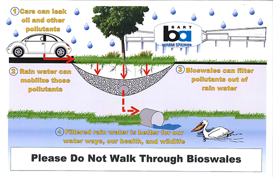 infographic about bioswales