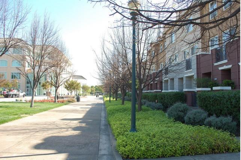 A picture containing tree, grass, outdoor, street
AI-generated content may be incorrect.