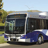 Rapid Transit Bus