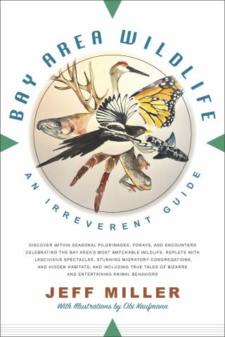 Bay Area Wildlife Cover